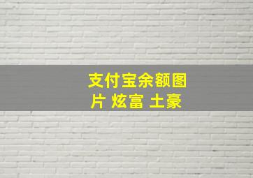 支付宝余额图片 炫富 土豪